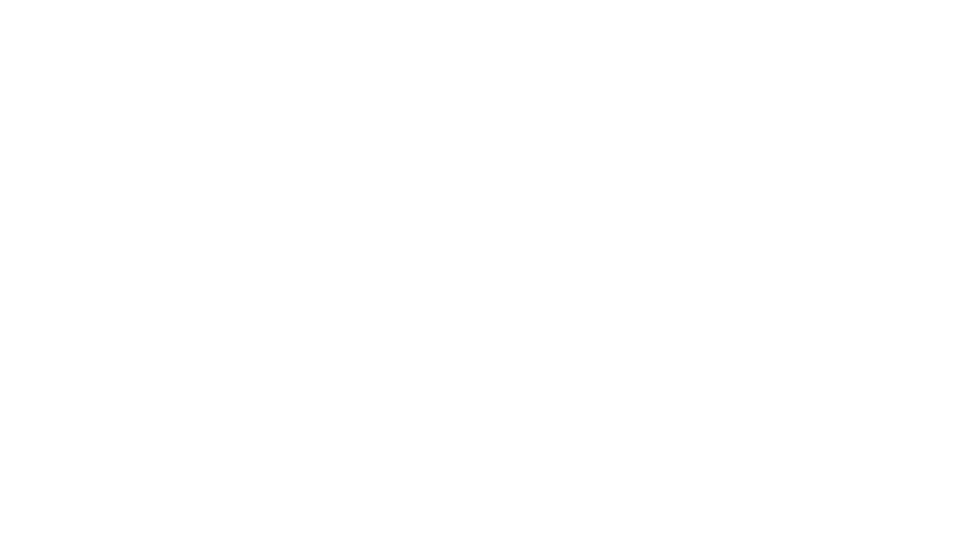 تاپ سیلور چرم
